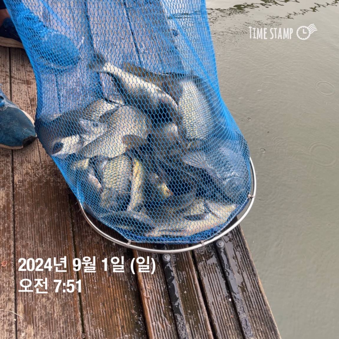 KakaoTalk_20240902_133245127_25.jpg