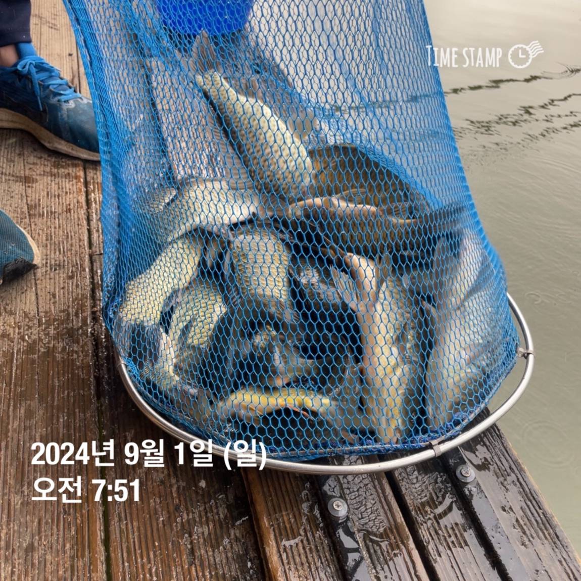 KakaoTalk_20240902_133245127_26.jpg