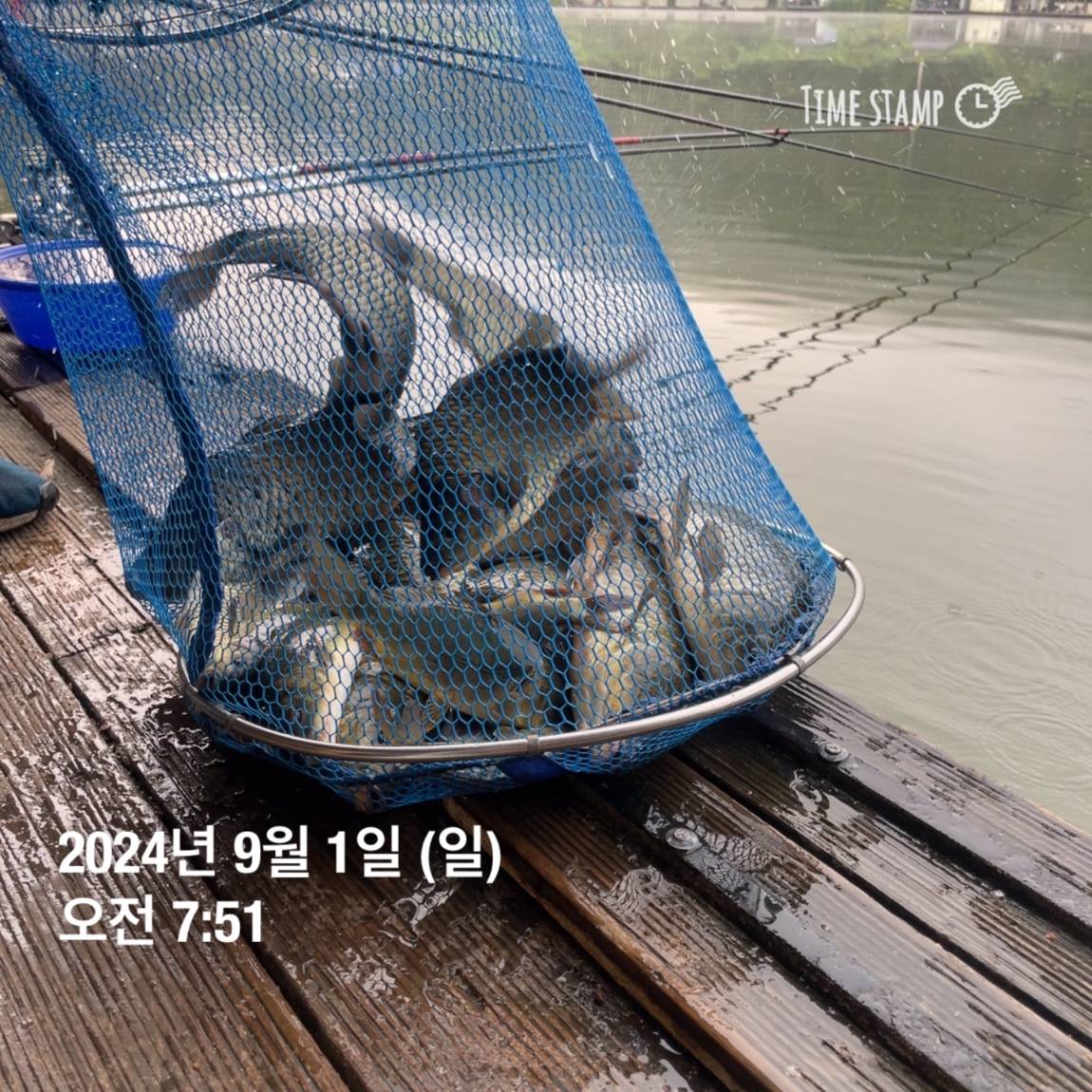 KakaoTalk_20240902_133245127_27.jpg