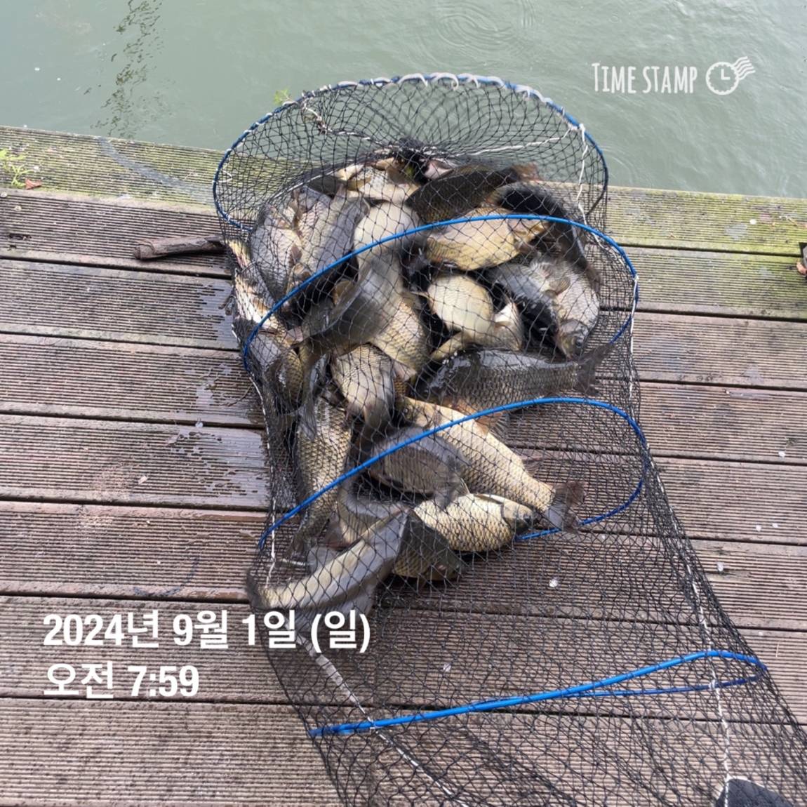 KakaoTalk_20240902_133245127_29.jpg