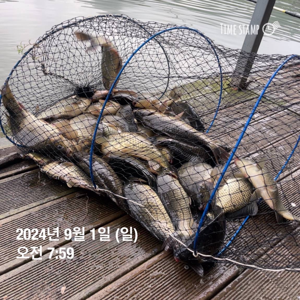 KakaoTalk_20240902_133548440_01.jpg