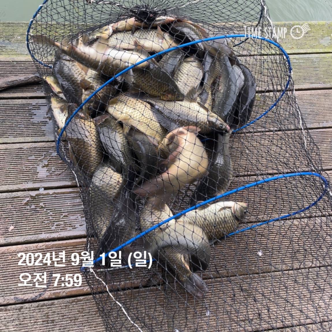KakaoTalk_20240902_133548440.jpg
