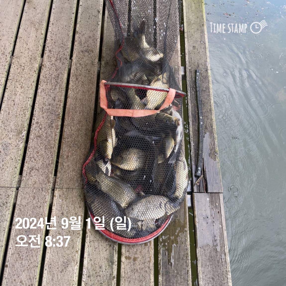 KakaoTalk_20240902_133548440_04.jpg