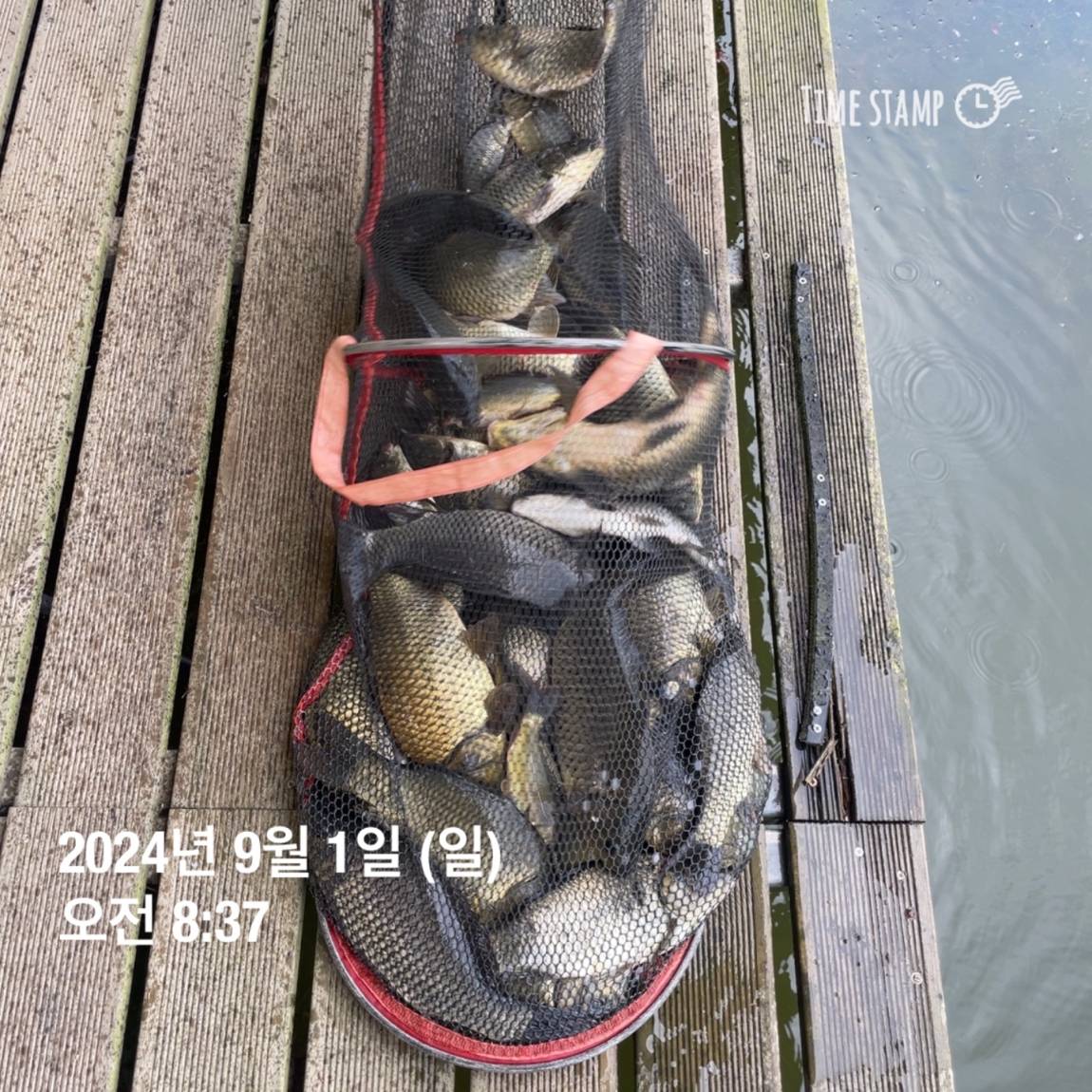 KakaoTalk_20240902_133548440_05.jpg