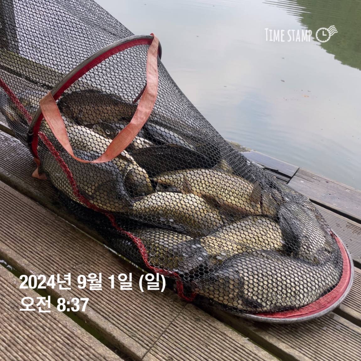 KakaoTalk_20240902_133548440_07.jpg