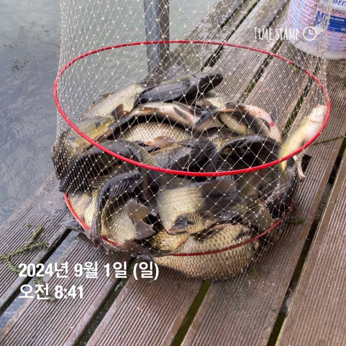 KakaoTalk_20240902_133548440_09.jpg