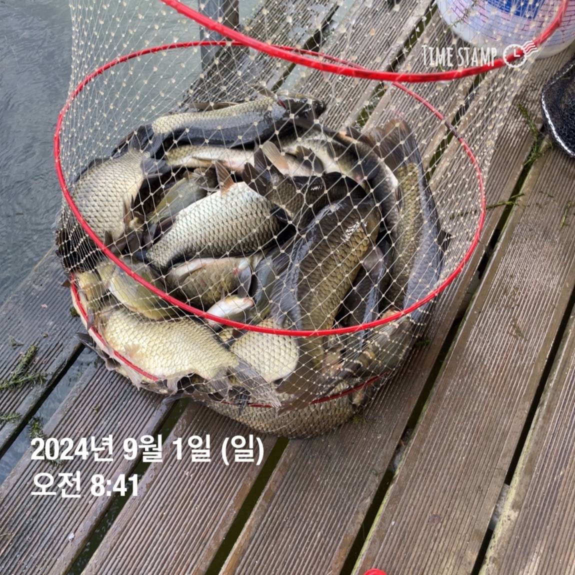 KakaoTalk_20240902_133548440_10.jpg