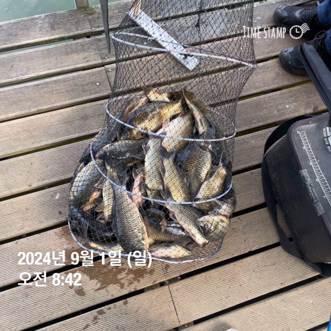 KakaoTalk_20240902_133548440_13.jpg