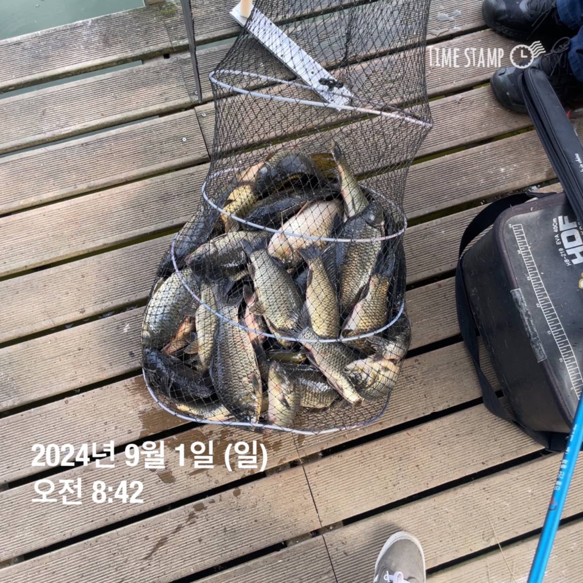 KakaoTalk_20240902_133548440_14.jpg
