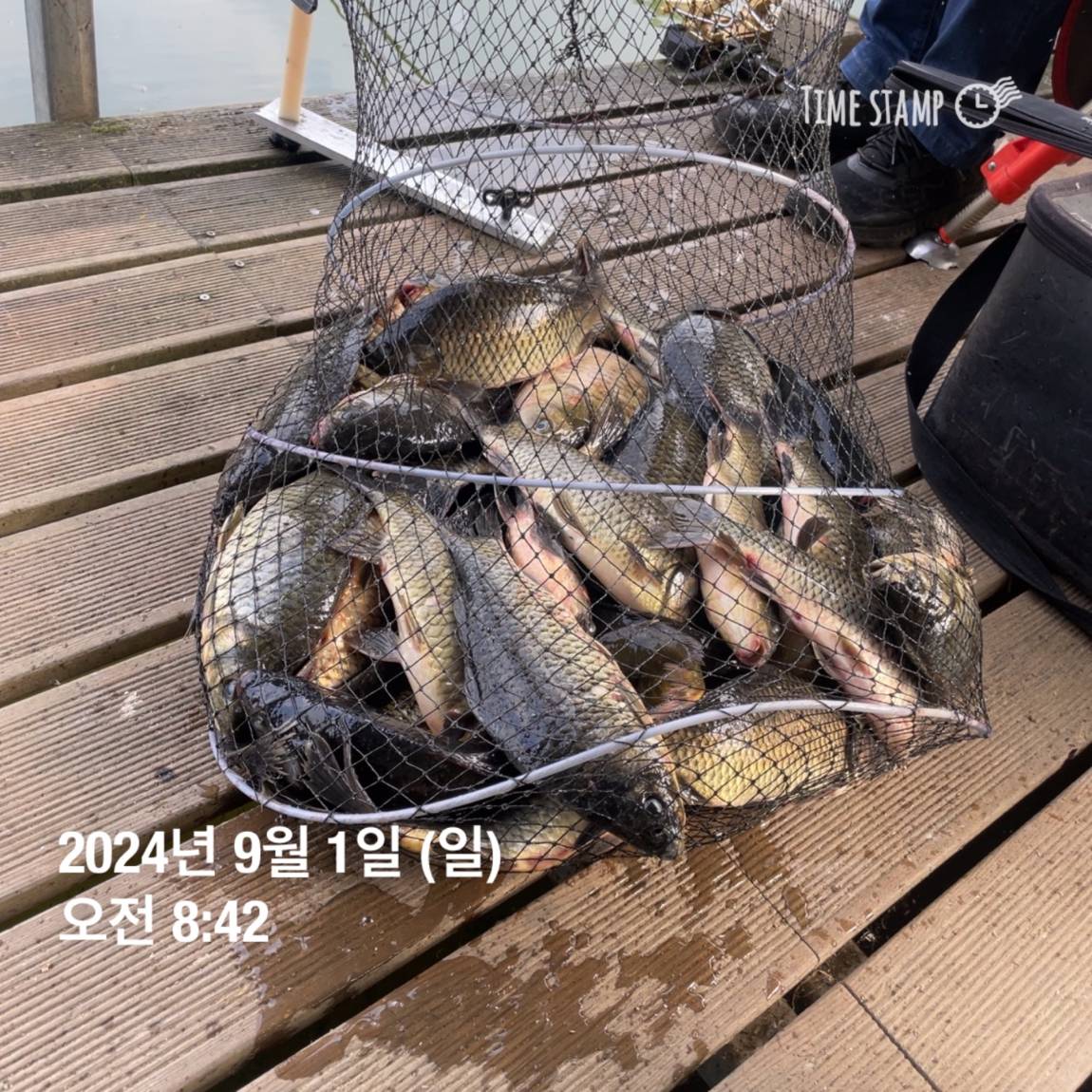 KakaoTalk_20240902_133548440_15.jpg
