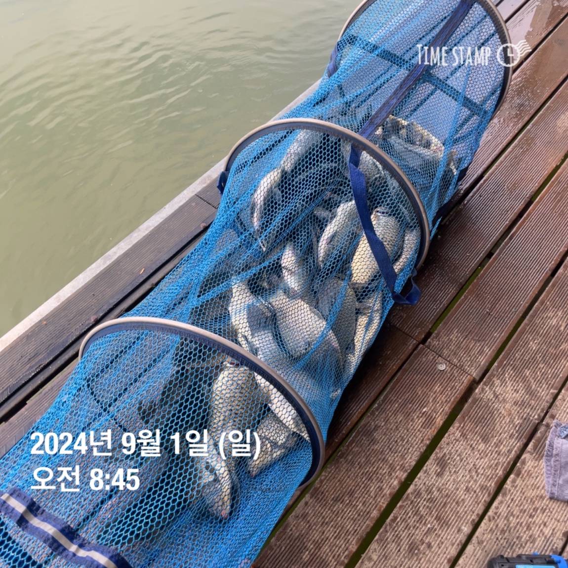 KakaoTalk_20240902_133548440_18.jpg