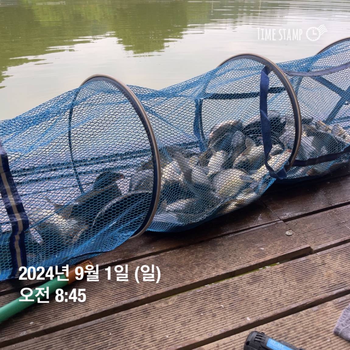KakaoTalk_20240902_133548440_19.jpg