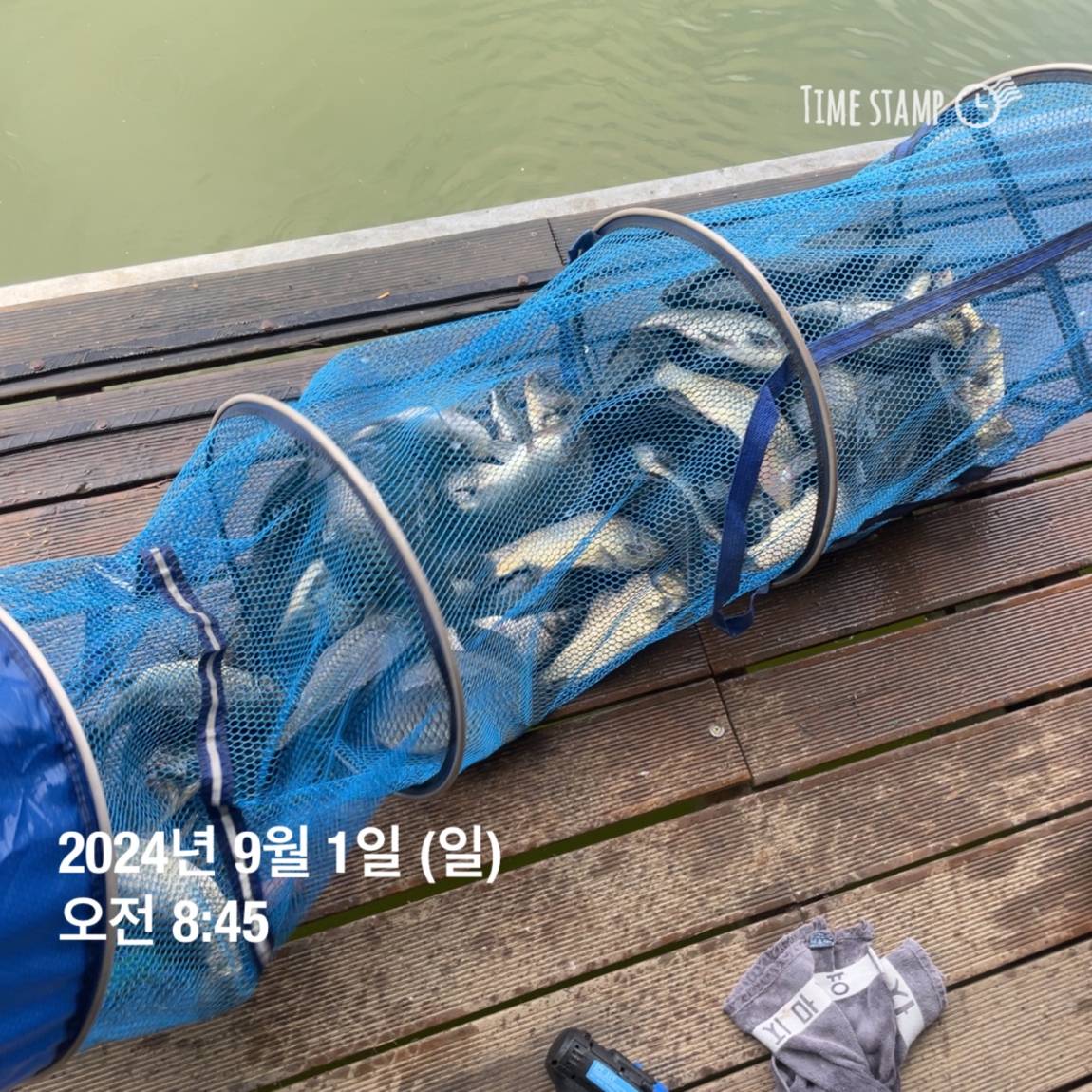 KakaoTalk_20240902_133548440_20.jpg