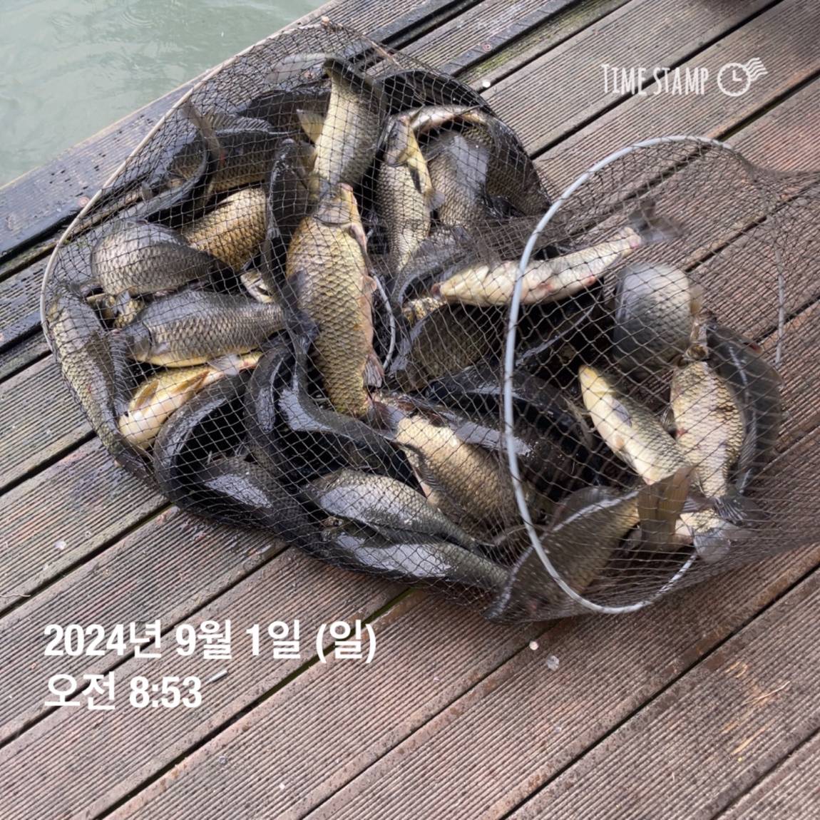 KakaoTalk_20240902_133548440_22.jpg