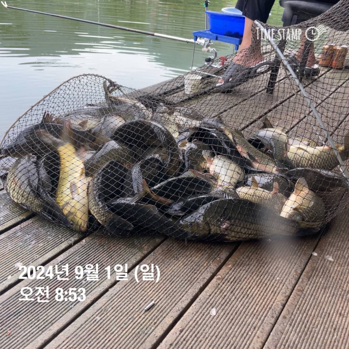 KakaoTalk_20240902_133548440_23.jpg