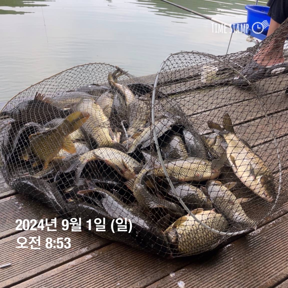 KakaoTalk_20240902_133548440_24.jpg