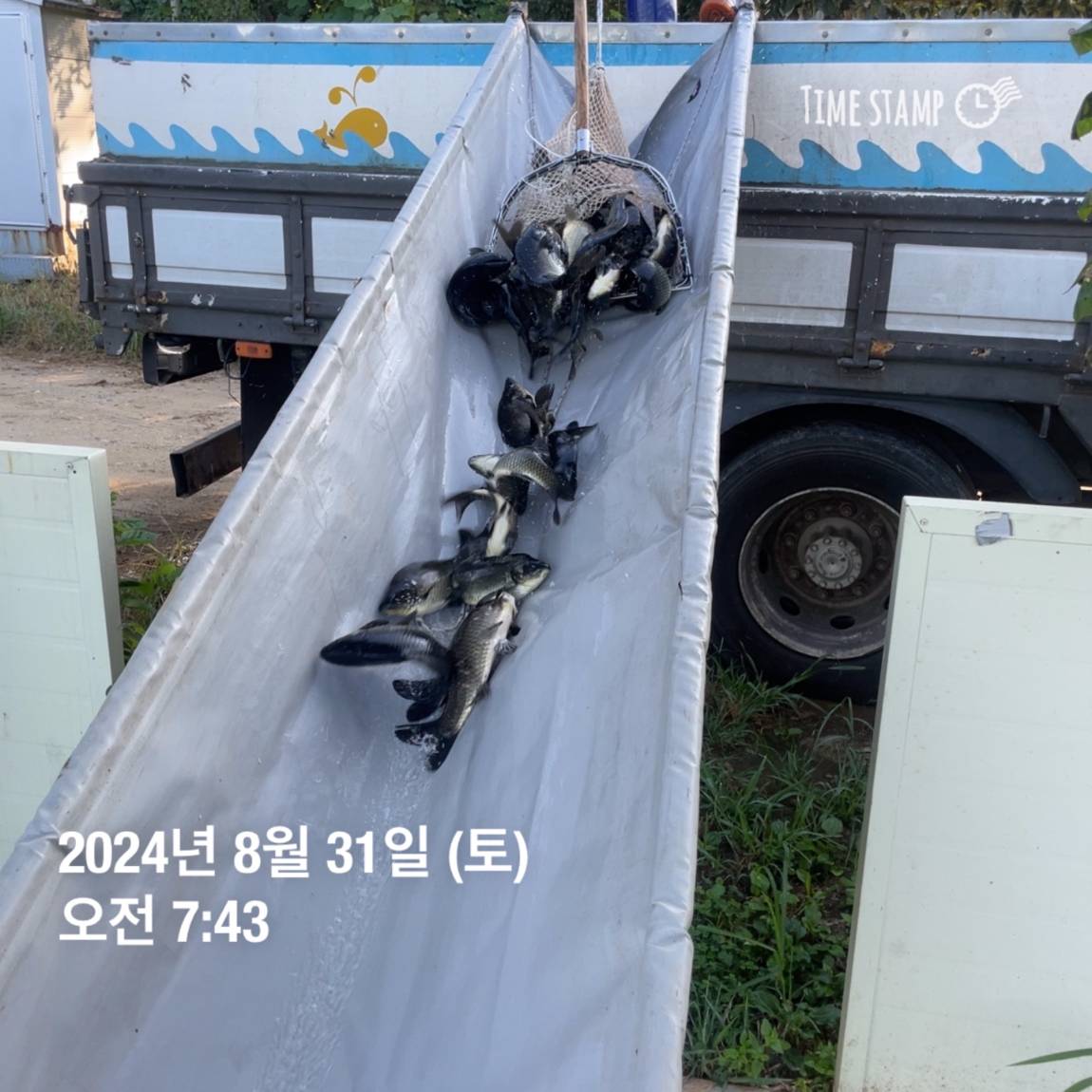 KakaoTalk_20240902_150646500_01.jpg