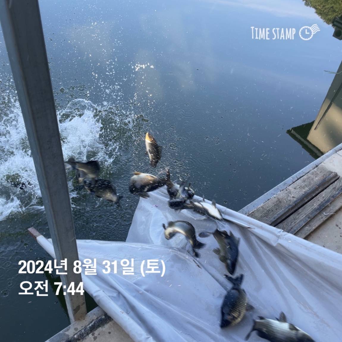 KakaoTalk_20240902_150646500_02.jpg