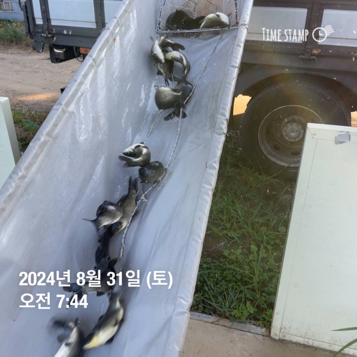 KakaoTalk_20240902_150646500_05.jpg