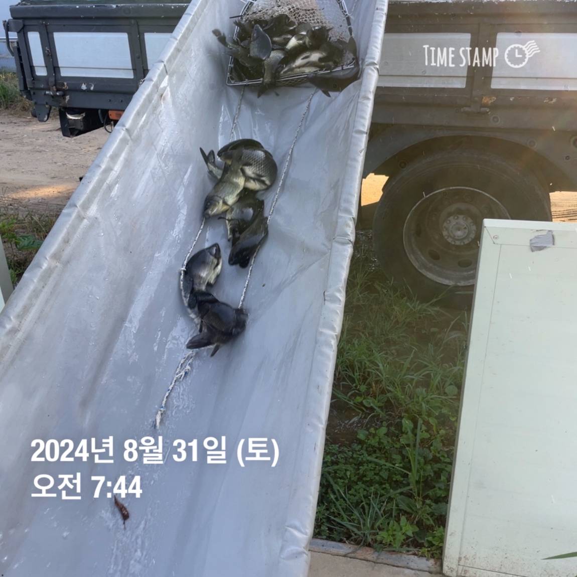 KakaoTalk_20240902_150646500_04.jpg