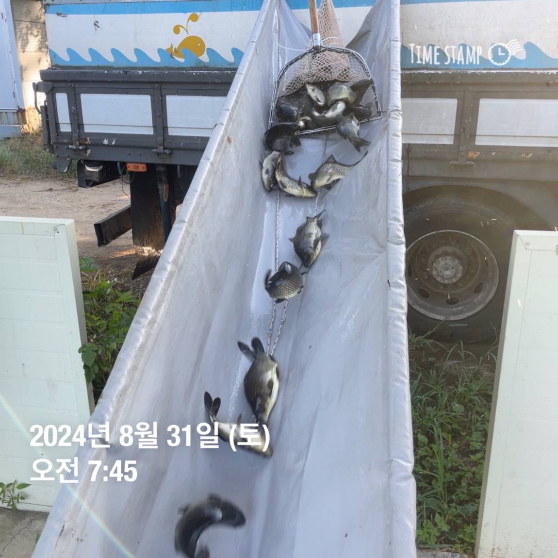 KakaoTalk_20240902_150646500_12.jpg