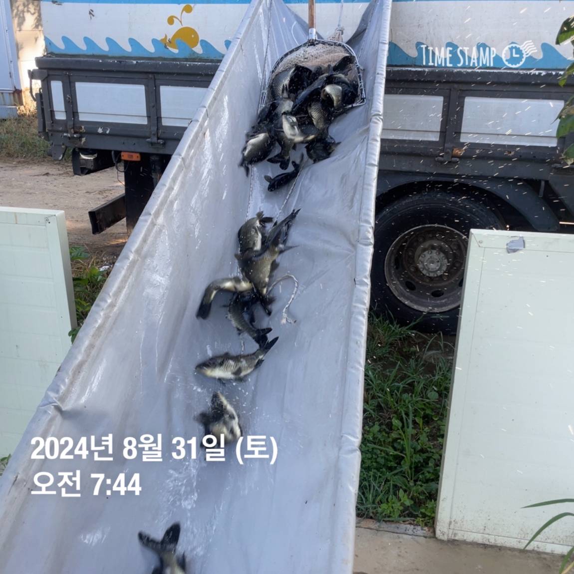 KakaoTalk_20240902_150646500_09.jpg