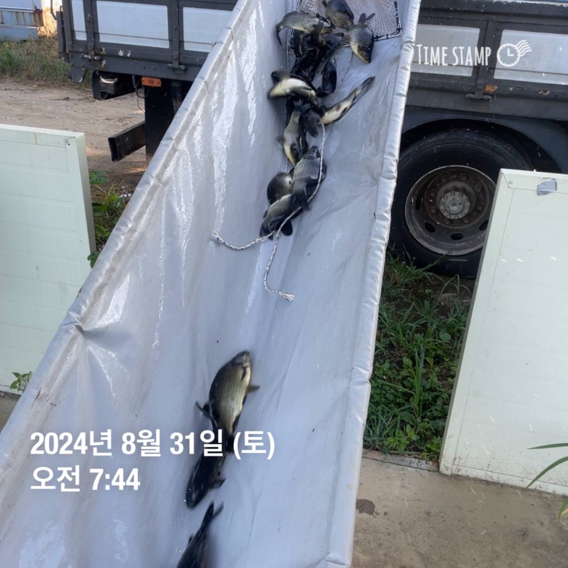 KakaoTalk_20240902_150646500_10.jpg