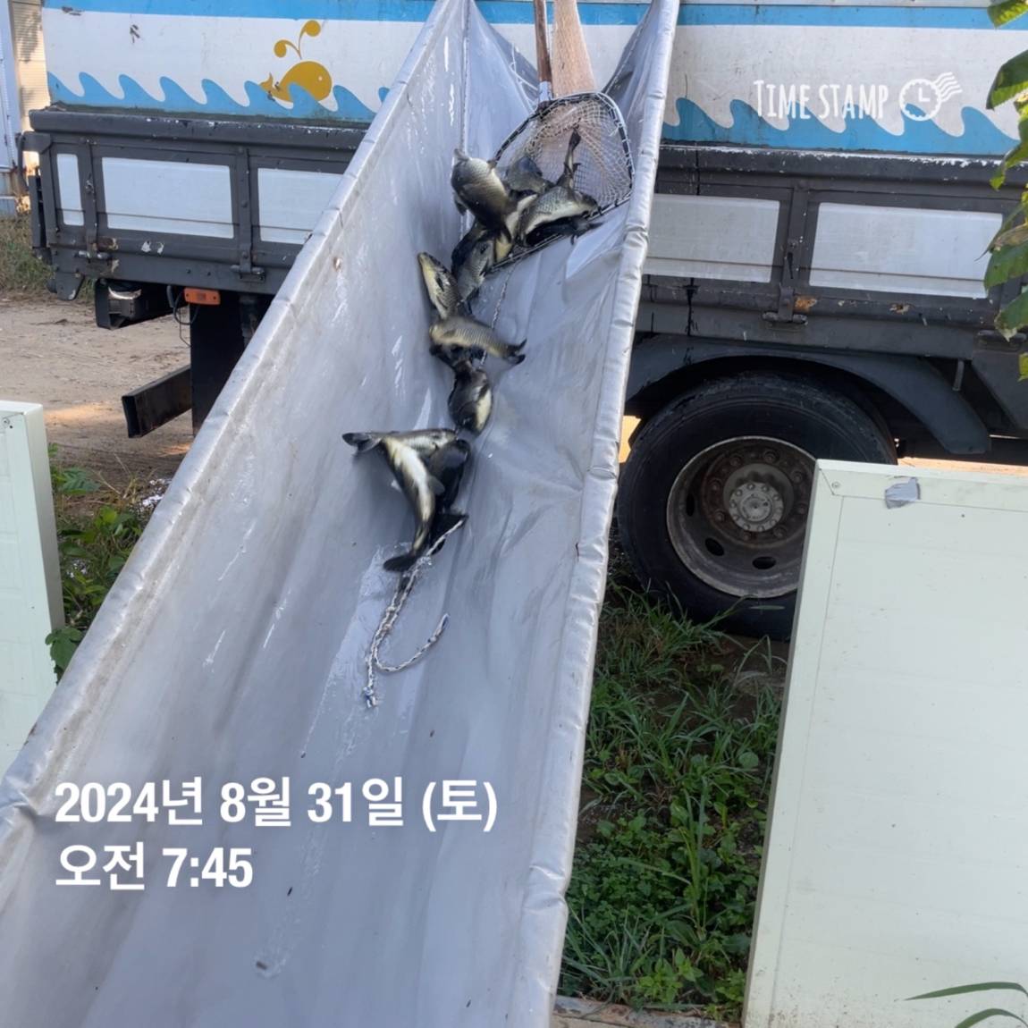 KakaoTalk_20240902_150646500_14.jpg