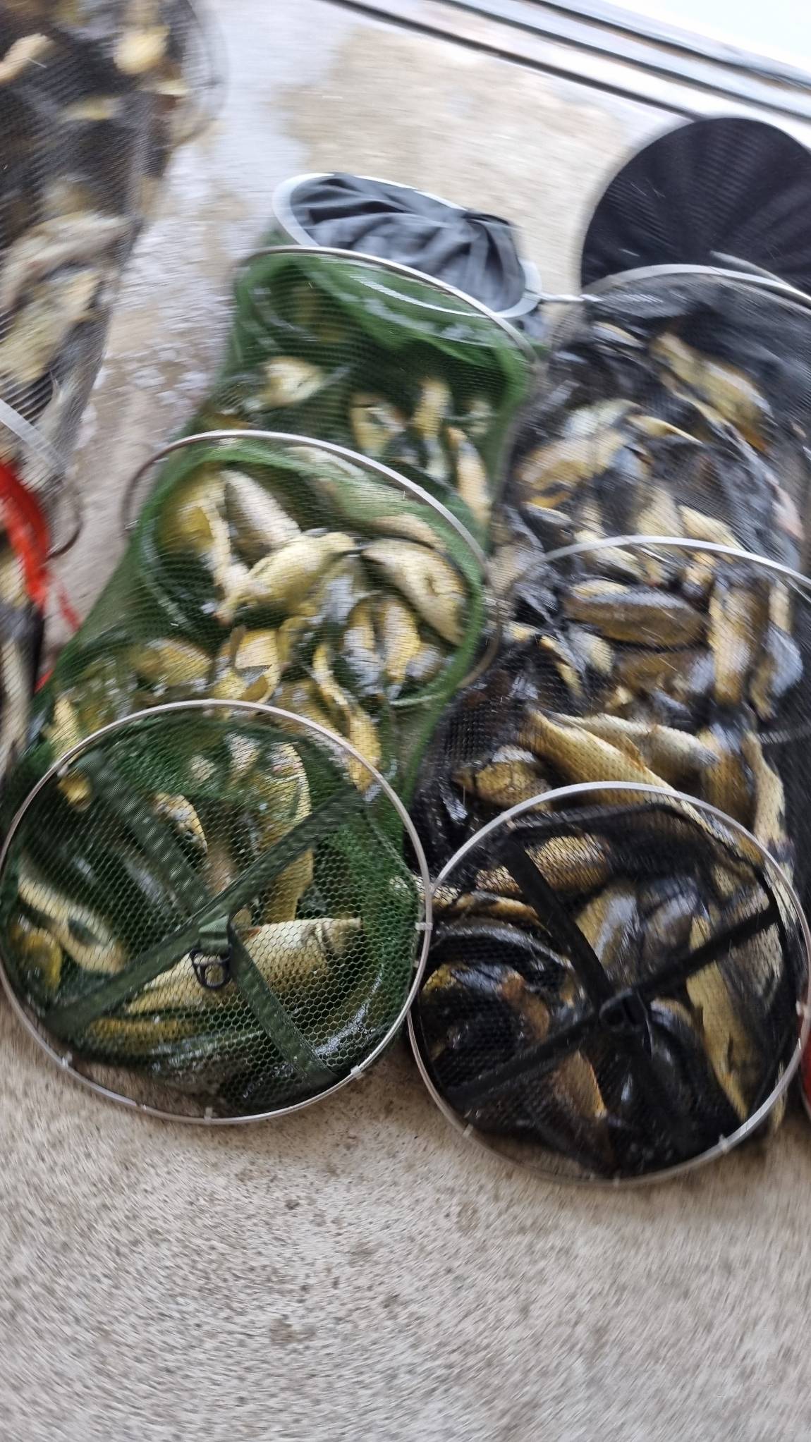 20240901_081343.jpg