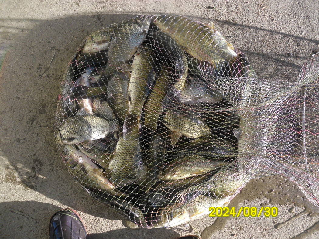 SAM_8140.JPG