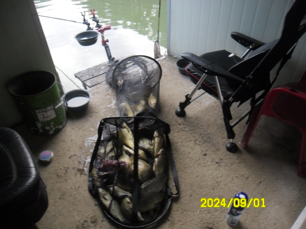 SAM_8191.JPG