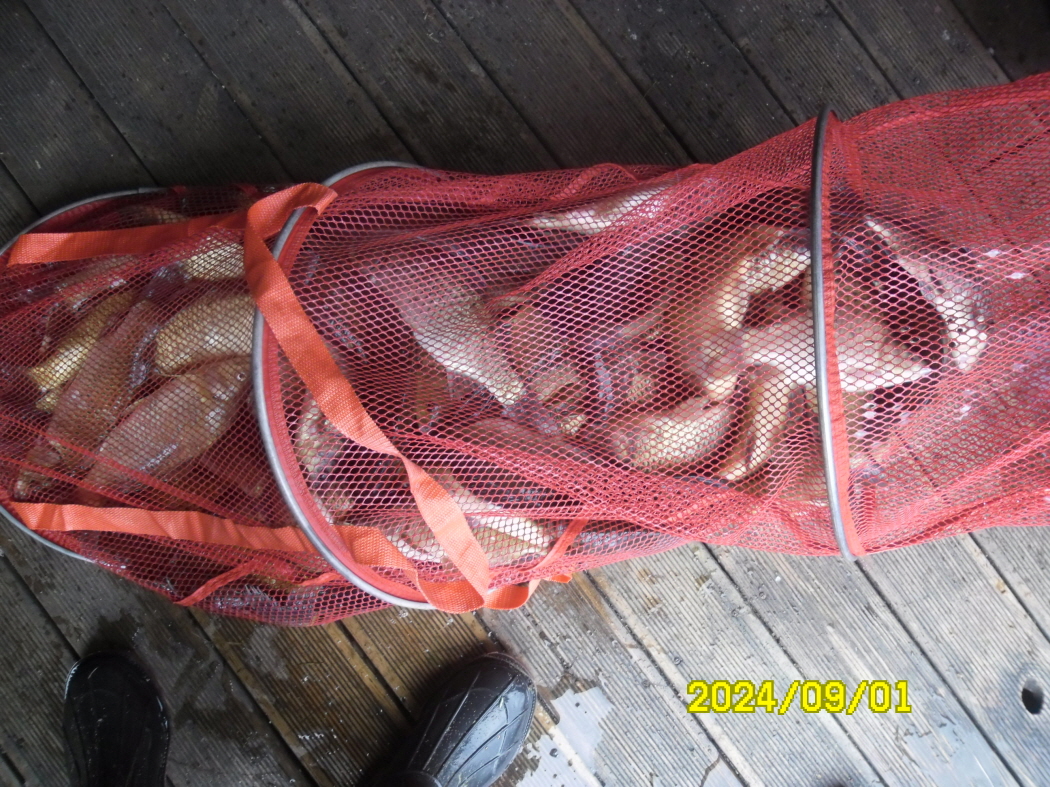 SAM_8226.JPG