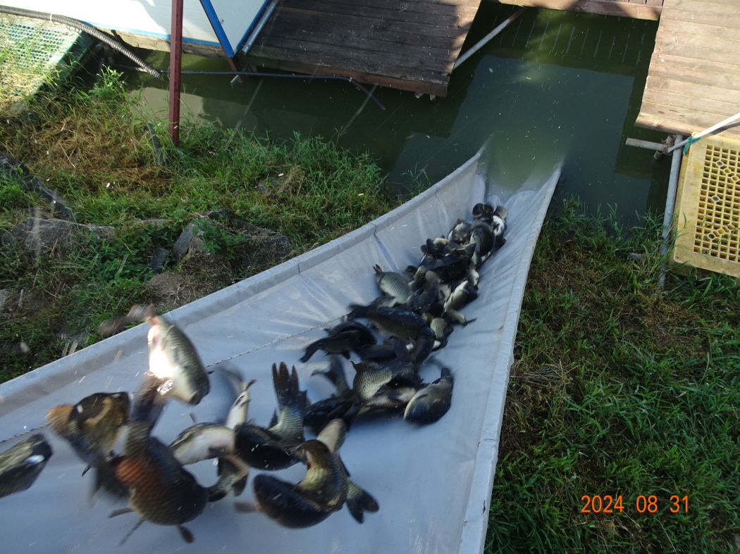 DSC05864.JPG