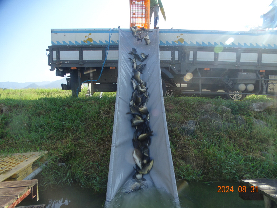 DSC05878.JPG