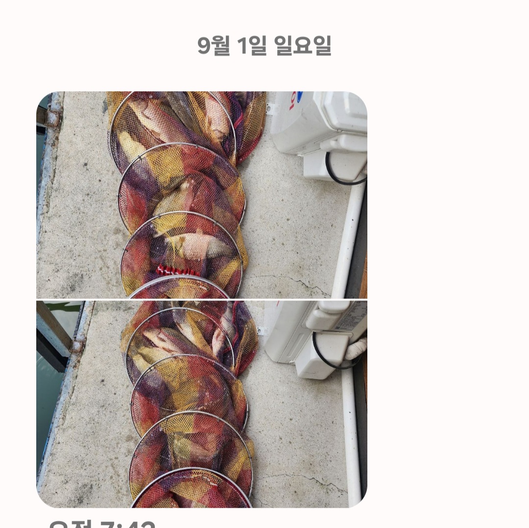 Screenshot_20240901_074311_Messages.jpg
