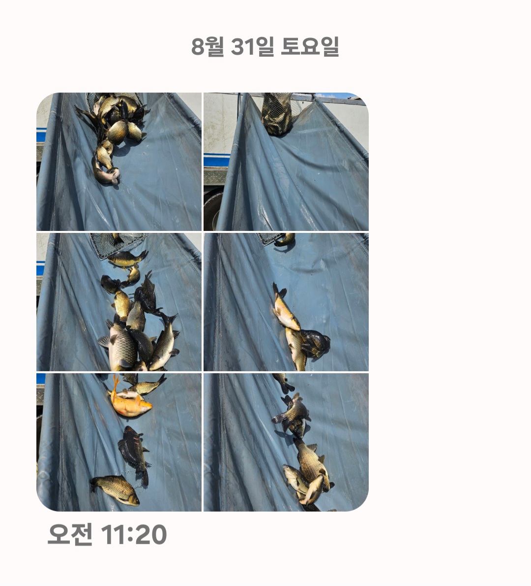 Screenshot_20240831_124221_Messages.jpg