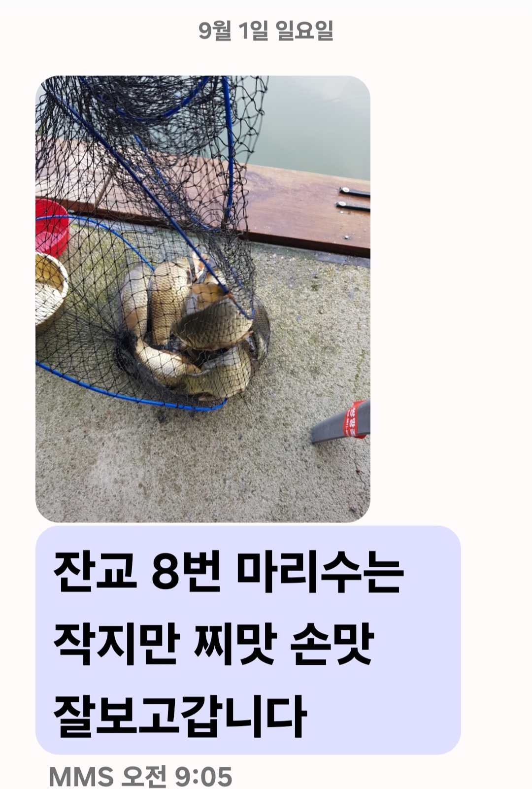 Screenshot_20240901_092642_Messages.jpg