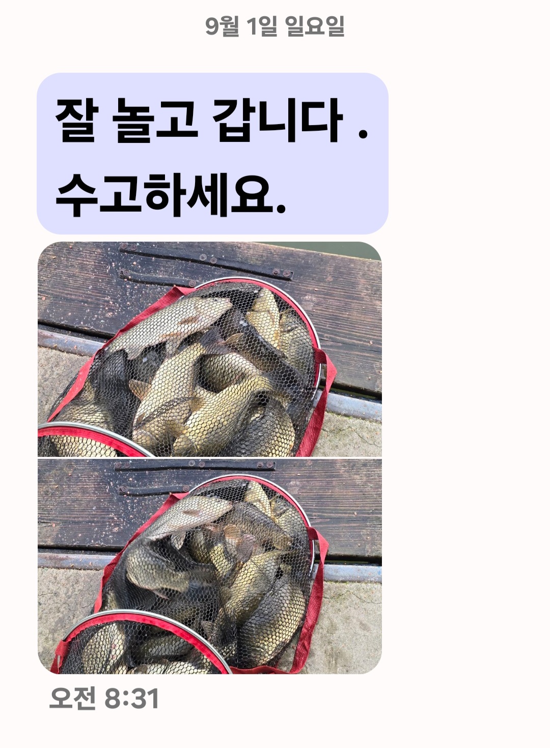 Screenshot_20240901_083233_Messages.jpg