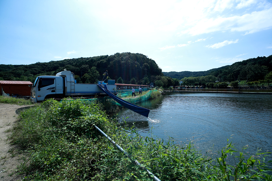 AE2I6234.jpg