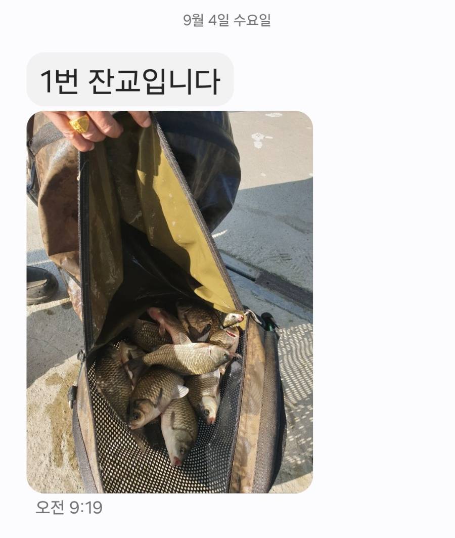 Screenshot_20240904_120932_Messages.jpg