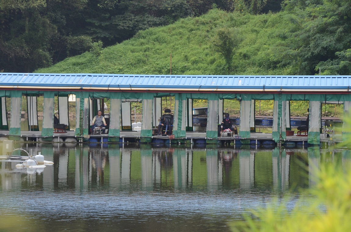 DSC_1571.JPG