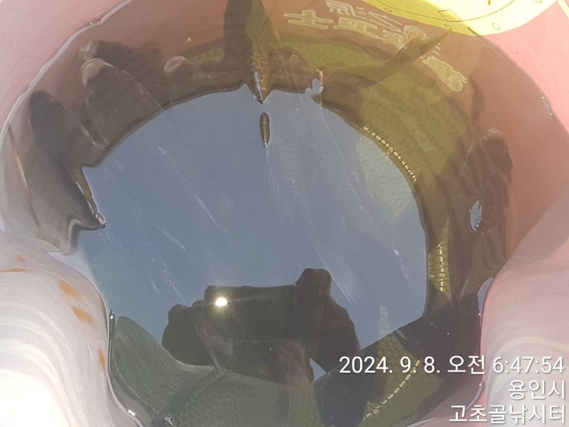 1725751405064.jpg