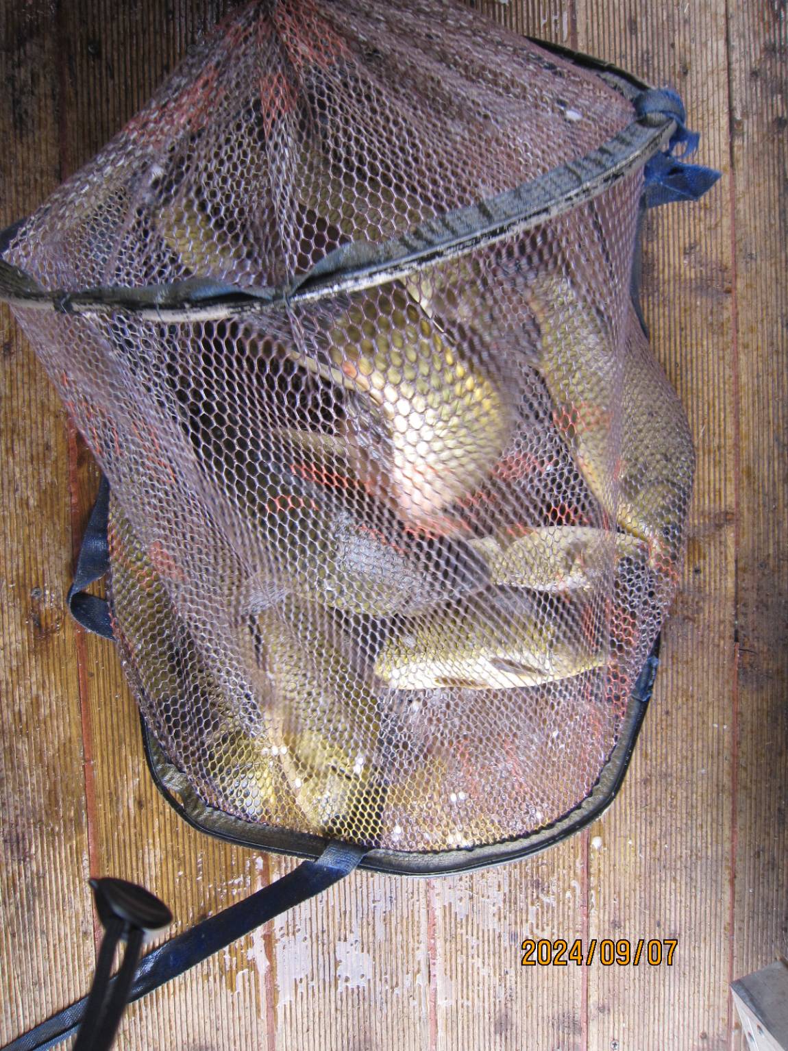 IMG_1732.JPG