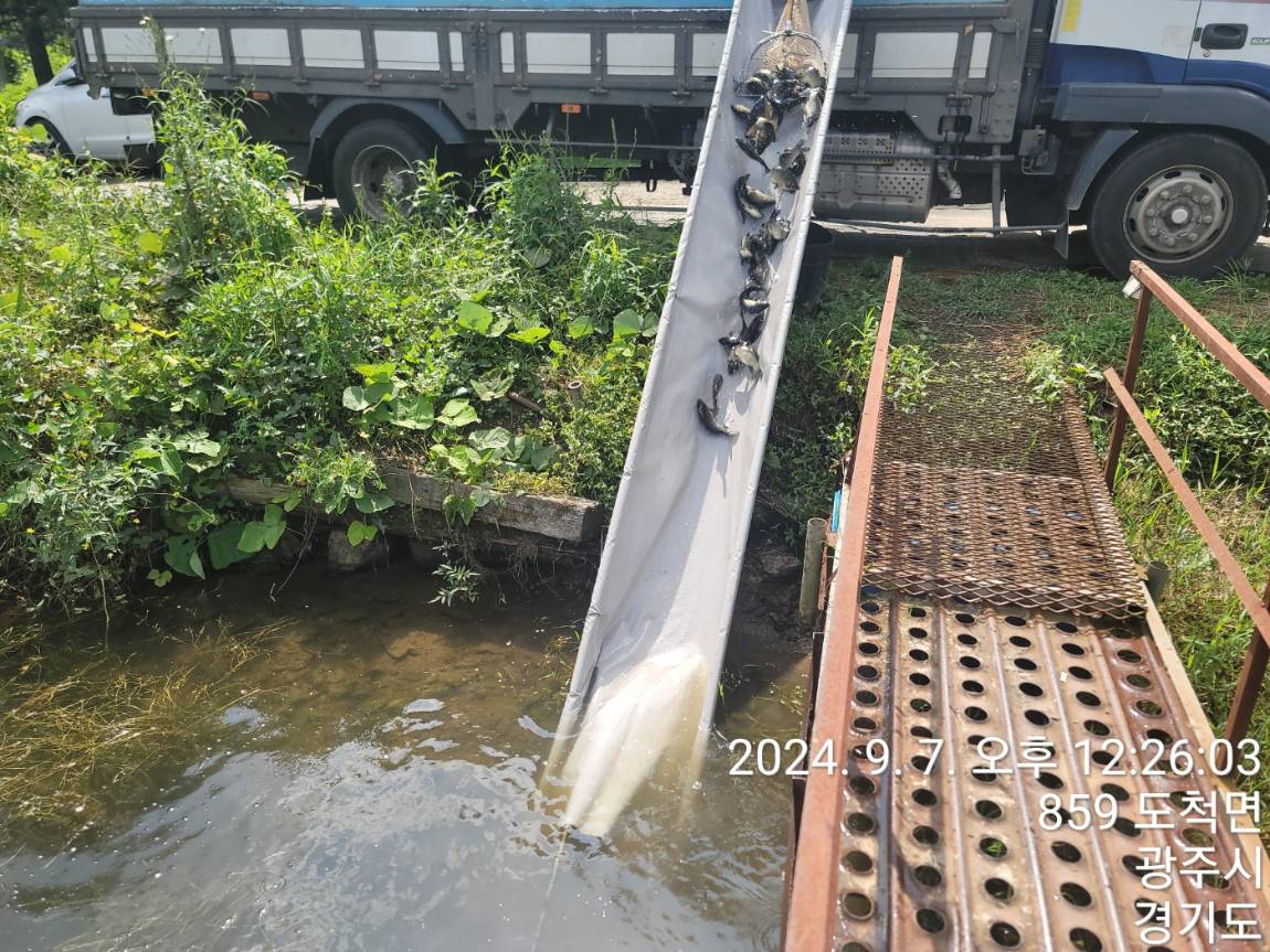 KakaoTalk_20240909_114138303_14.jpg