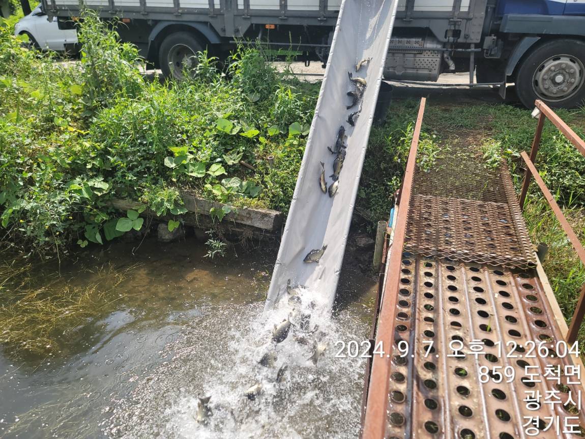 KakaoTalk_20240909_114138303_13.jpg