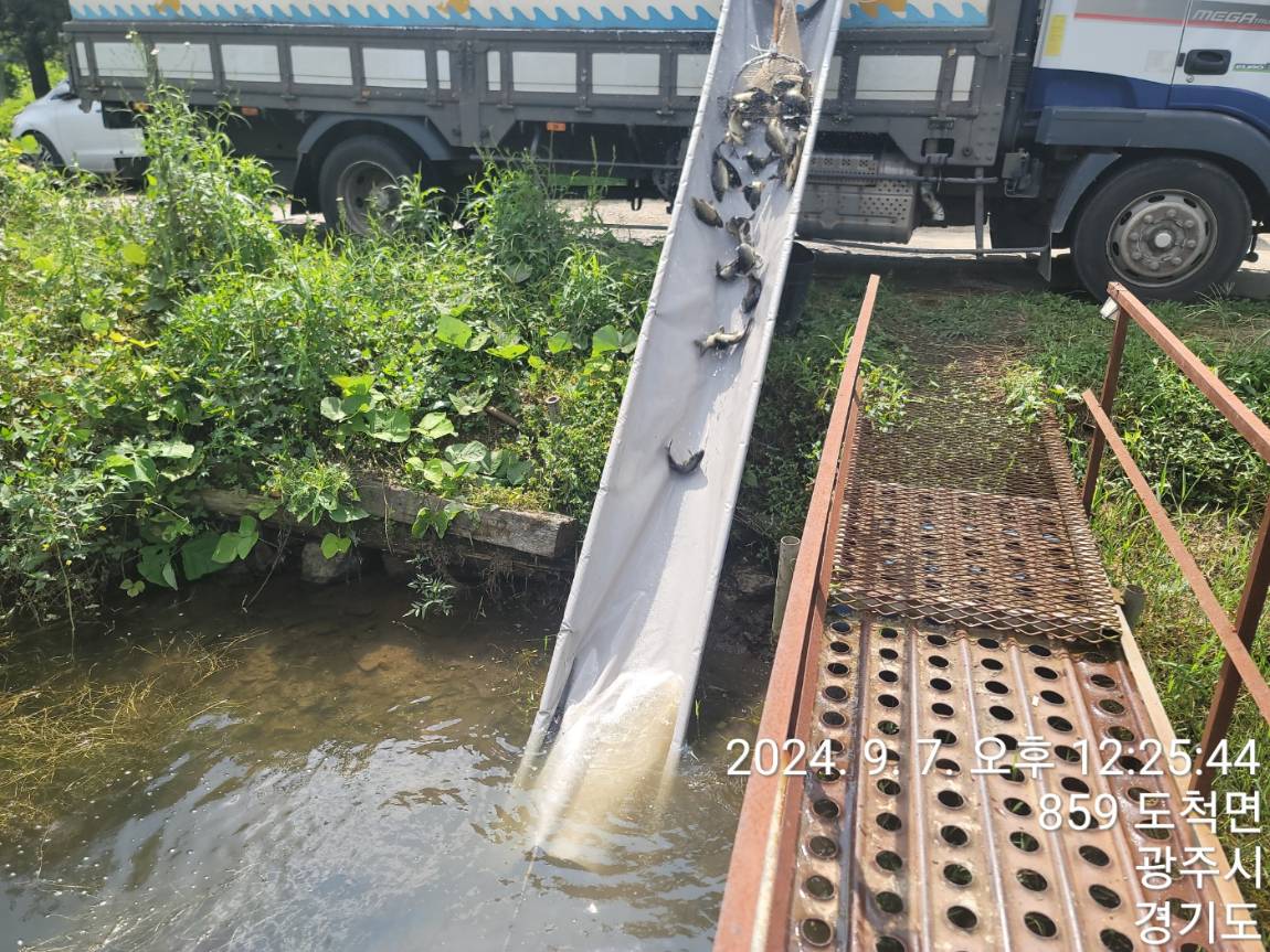 KakaoTalk_20240909_114138303_19.jpg