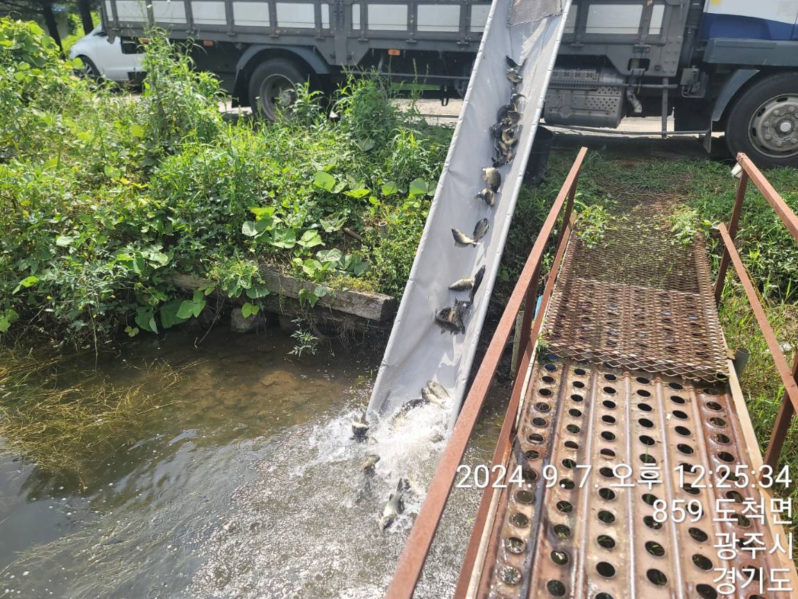 KakaoTalk_20240909_114138303_20.jpg