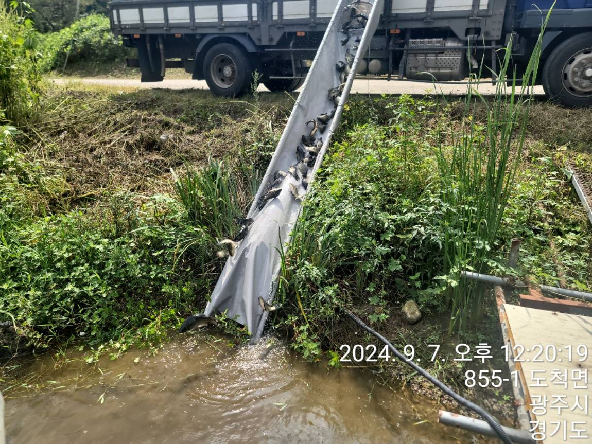 KakaoTalk_20240909_114144978_06.jpg