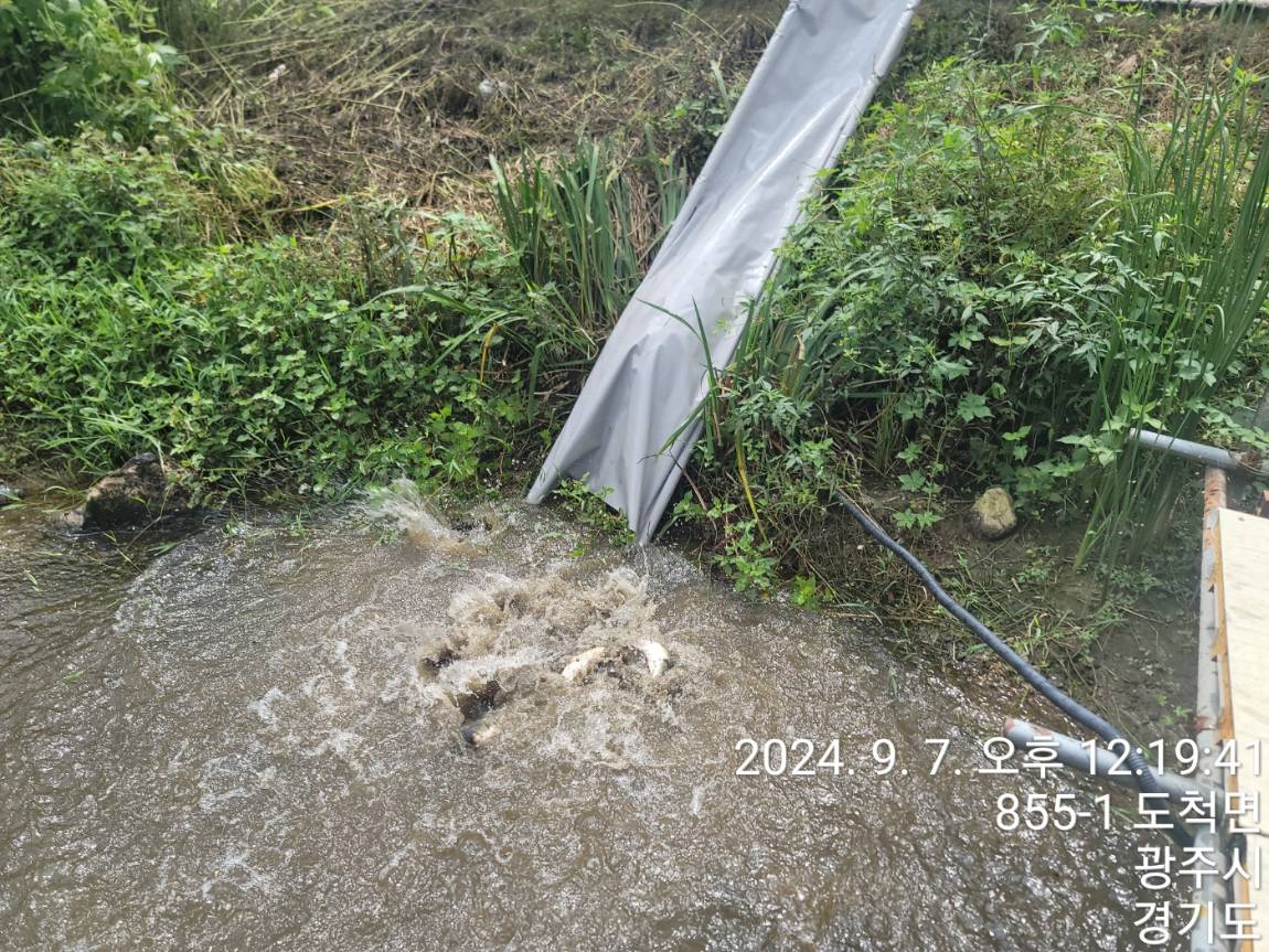 KakaoTalk_20240909_114144978_12.jpg