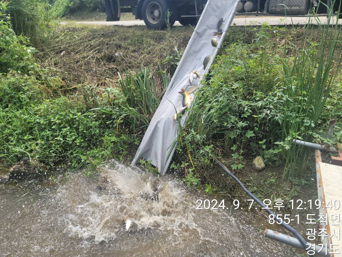 KakaoTalk_20240909_114144978_13.jpg